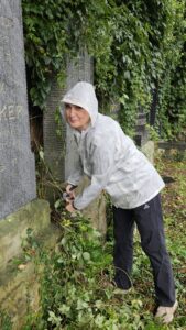 Dobrovolnice čistí náhrobky od břečťanu a plazivého vína.
