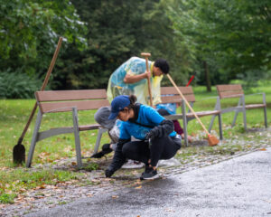 Dobrovolníci čistí park Smetanovy sady.